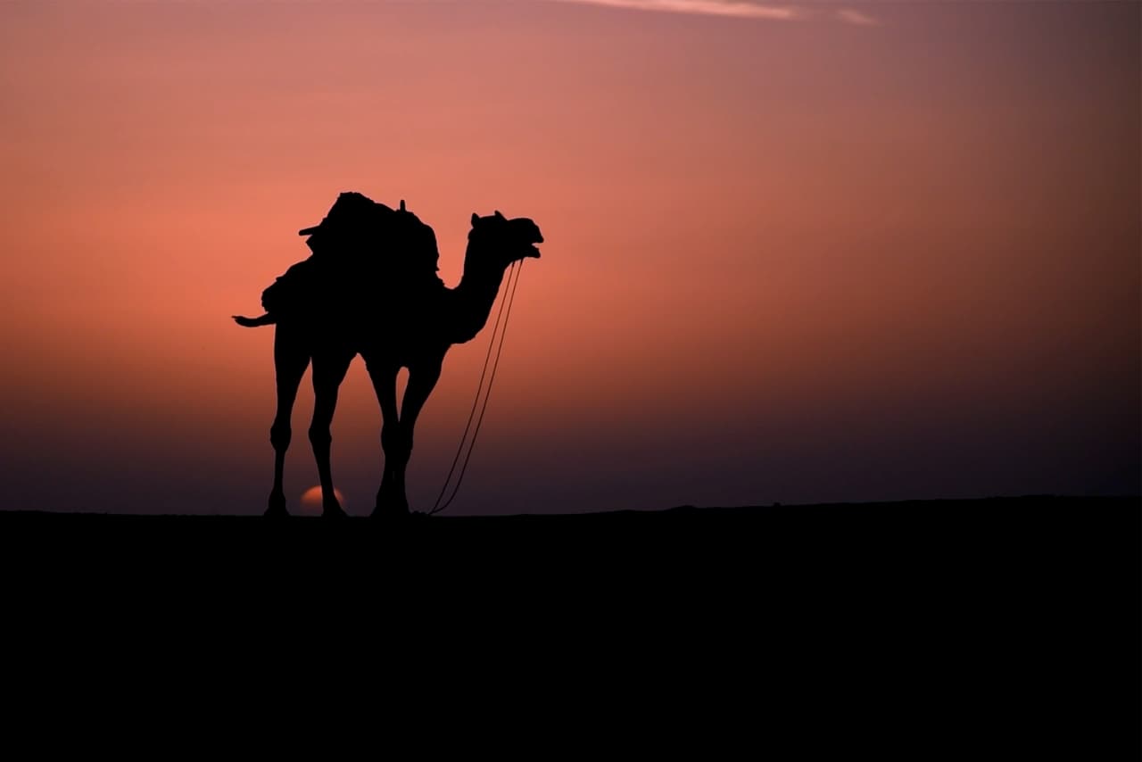 Rajasthan Tour Packages from Akola