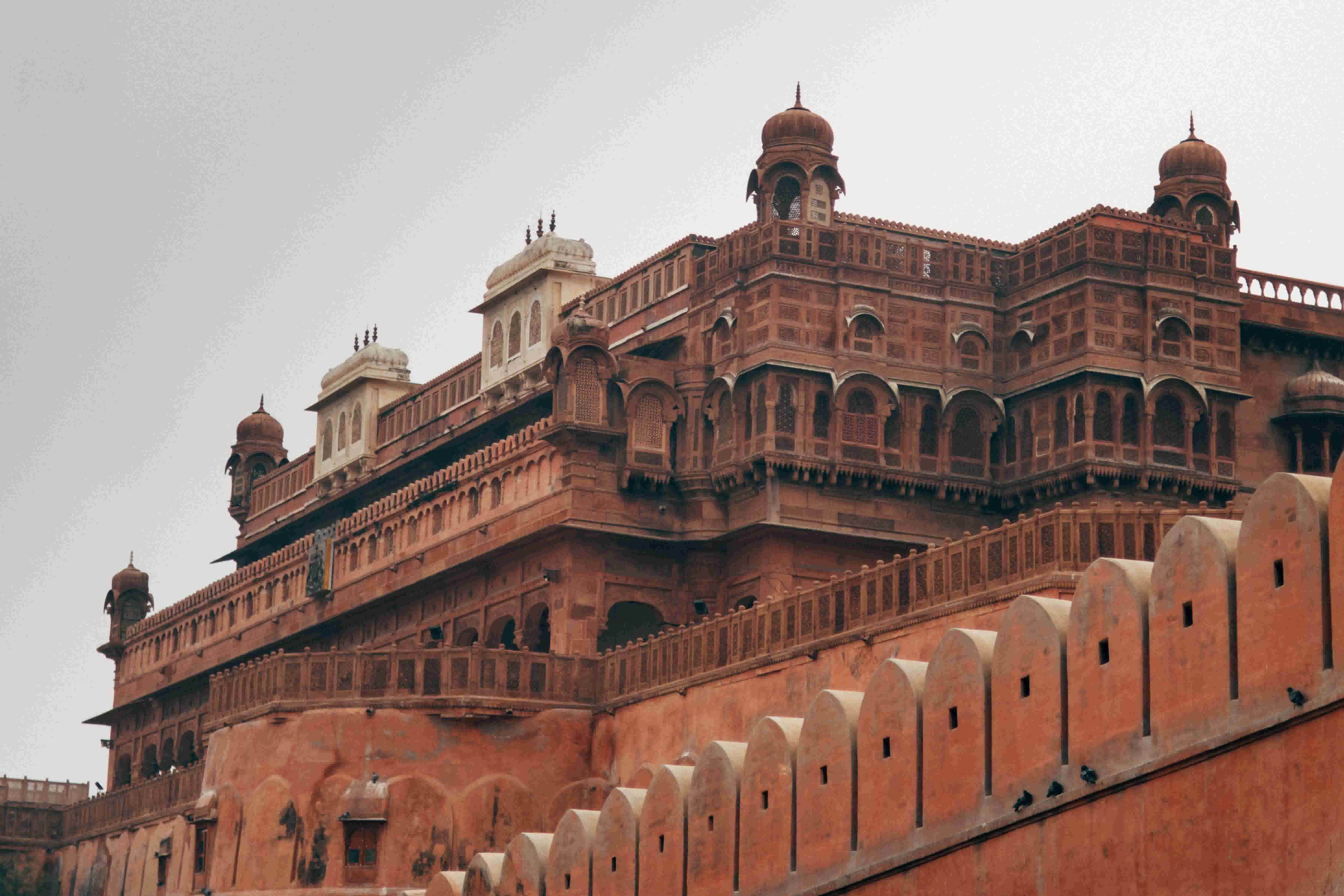 Multilingual Tour Guides & Escort Services Rajasthan