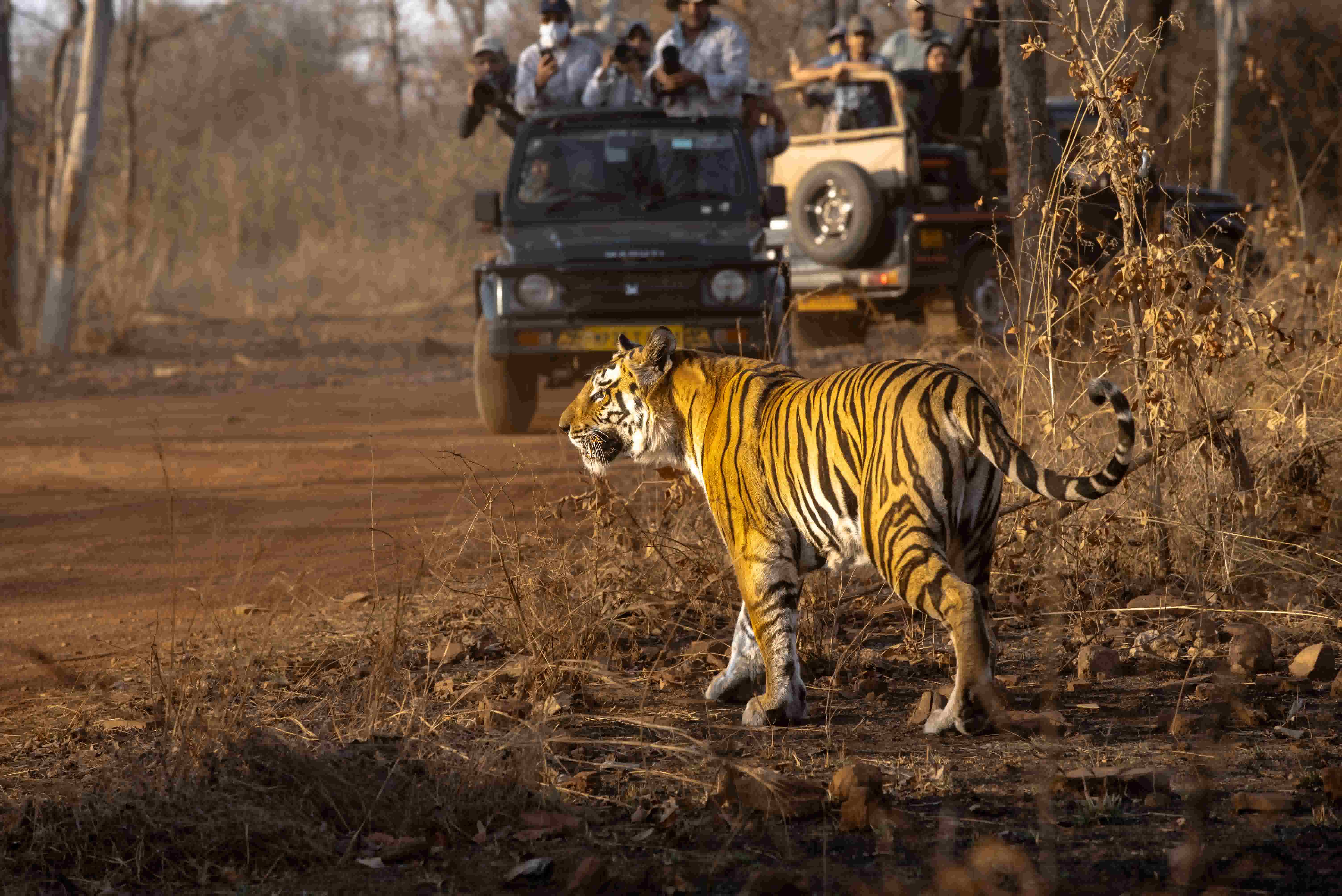 Signature Rajasthan Tour Packages from Sangli